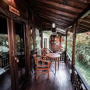 https://ubud-jungle-holy-water.ubudhotelsnow.com